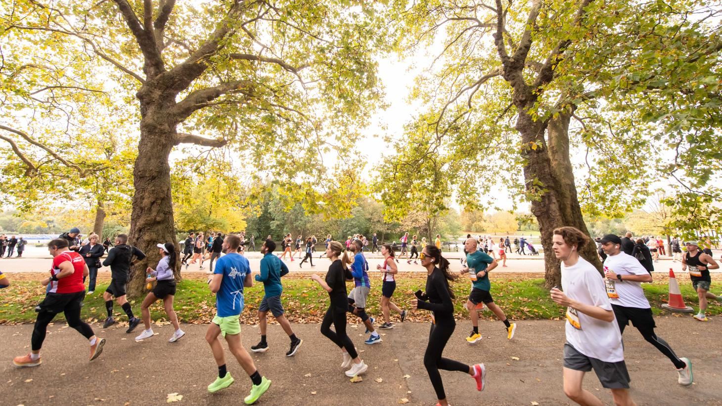 runners on park path in front of 2 big leafy trees and sunny sky