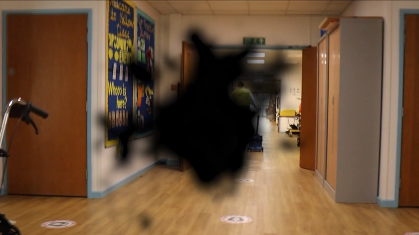 Image demonstrating a visual impairment